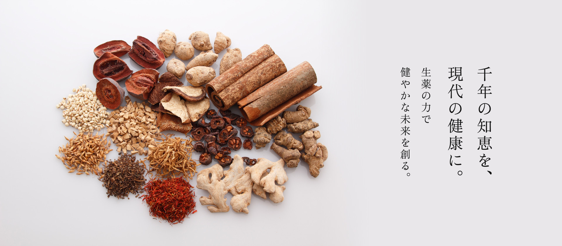 千年の知恵を、現代の健康に。