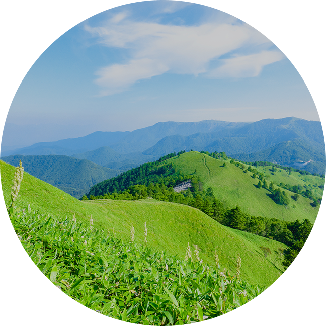 自然に畏敬の心